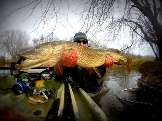 Pike on the Fly - Full Day