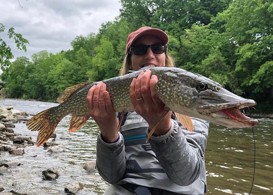 Pike on the Fly - Half Day